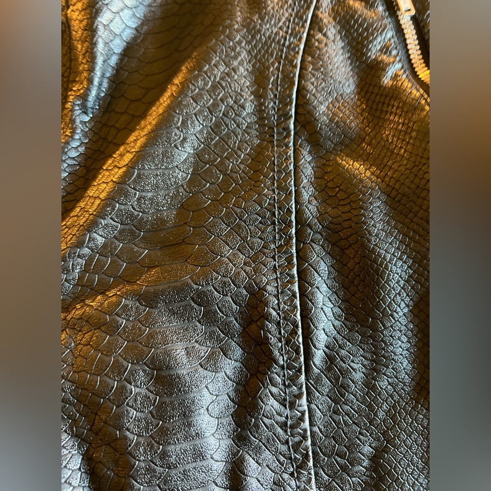 UO Urban Outfitters Alexa Faux Leather Moto Pants Size 6 - Picture 6 of 15